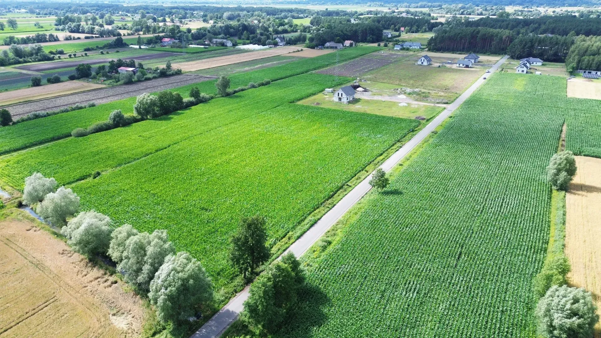 DJI_0464-min.JPG