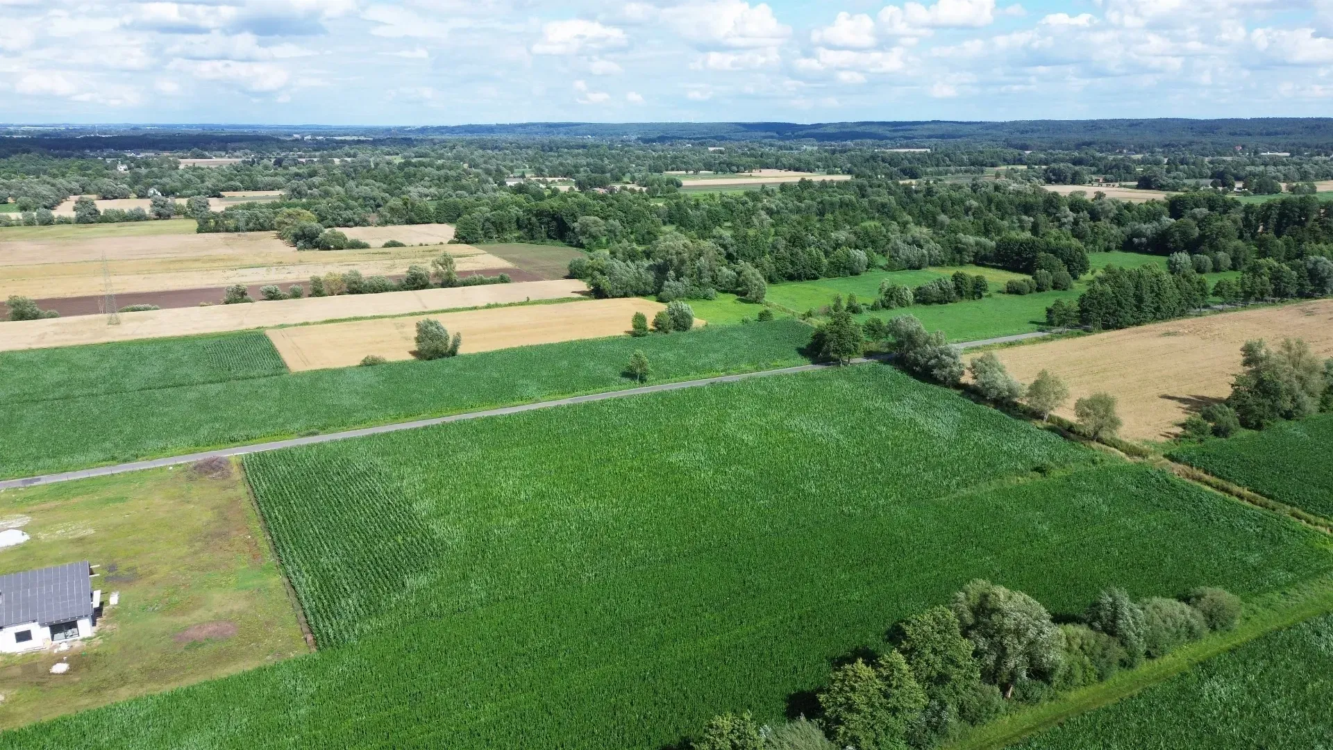 DJI_0464-min.JPG