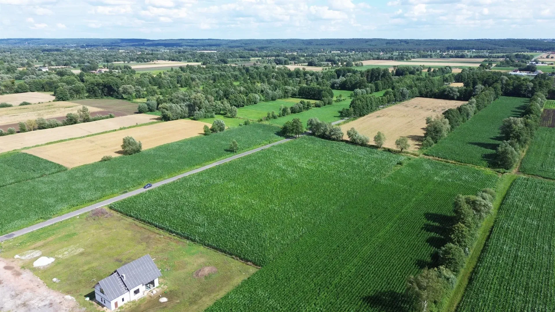 DJI_0464-min.JPG