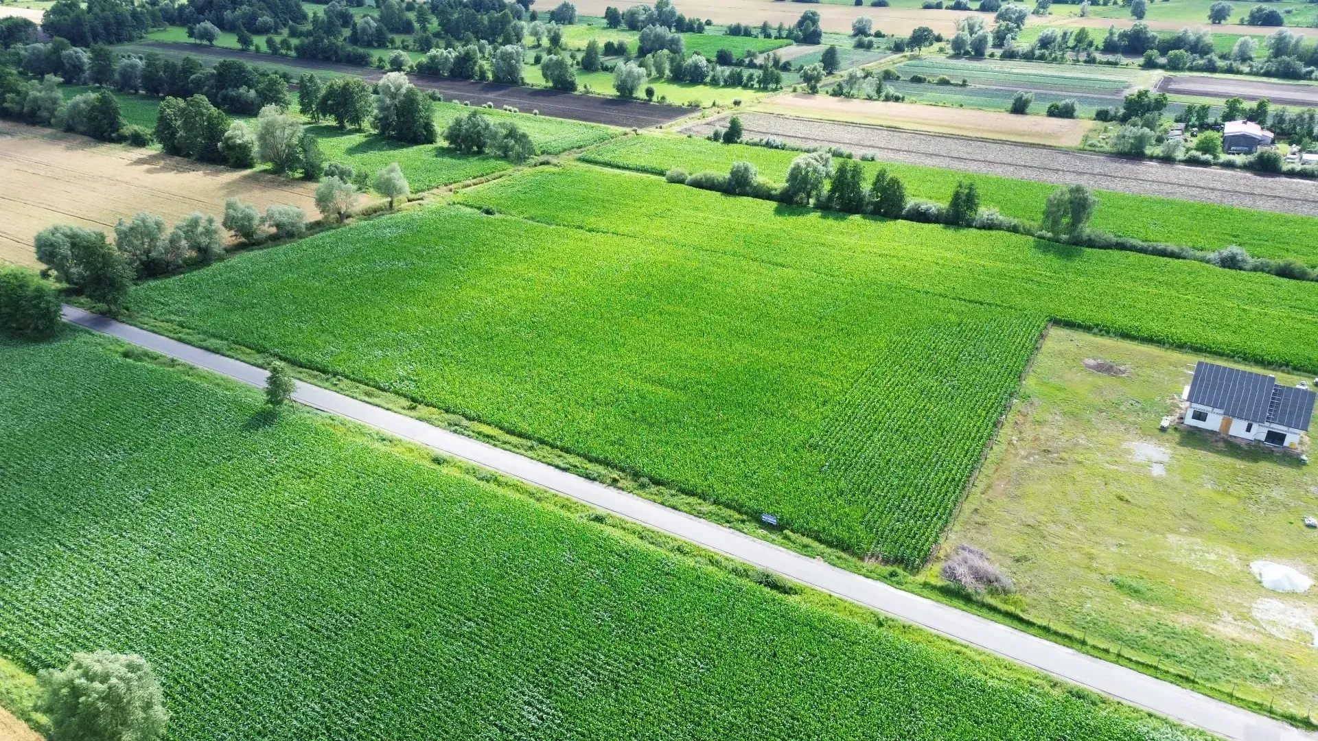 DJI_0464-min.JPG