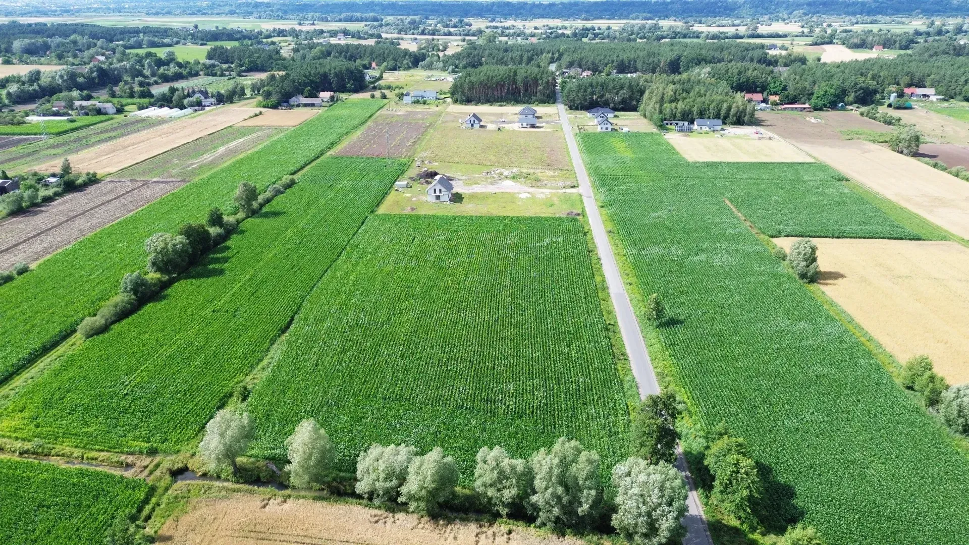 DJI_0464-min.JPG
