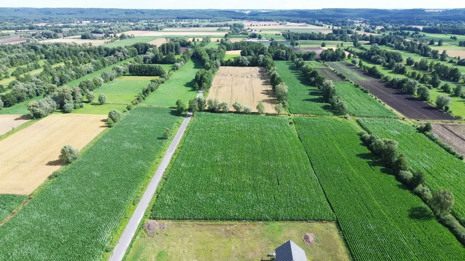 Zrzut ekranu 2025-07-22 o 17.14.11.png