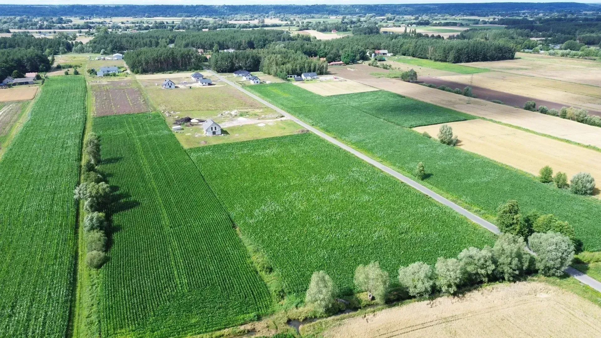 DJI_0464-min.JPG