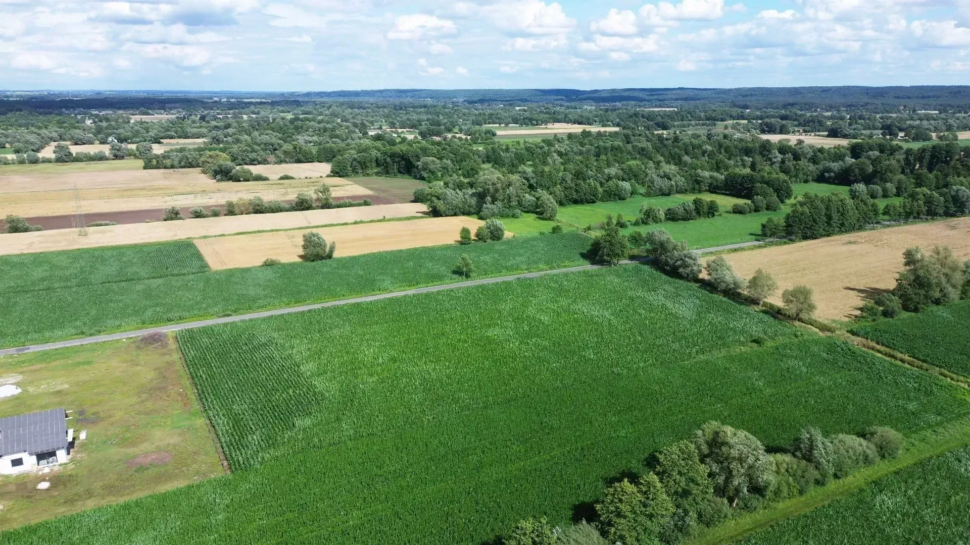 DJI_0464-min.JPG