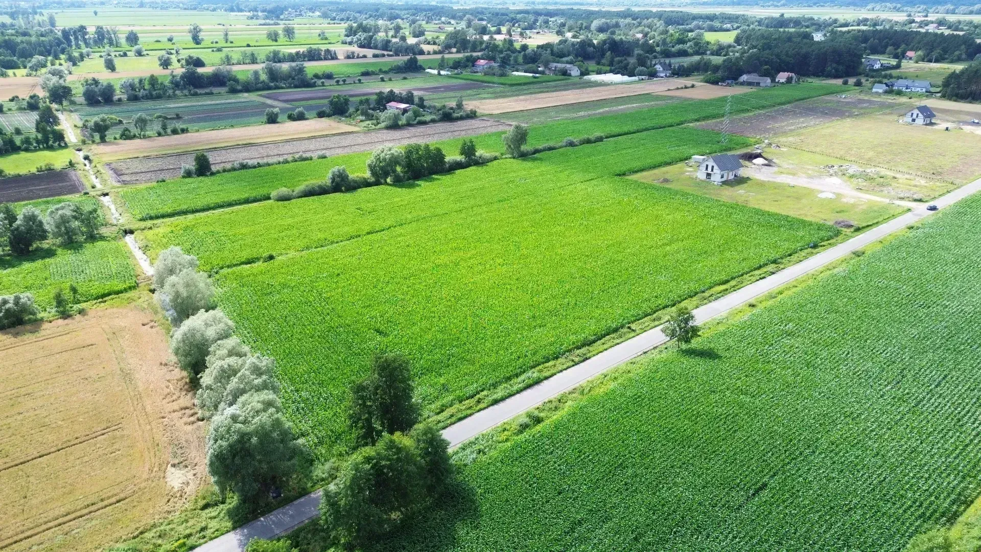 DJI_0464-min.JPG
