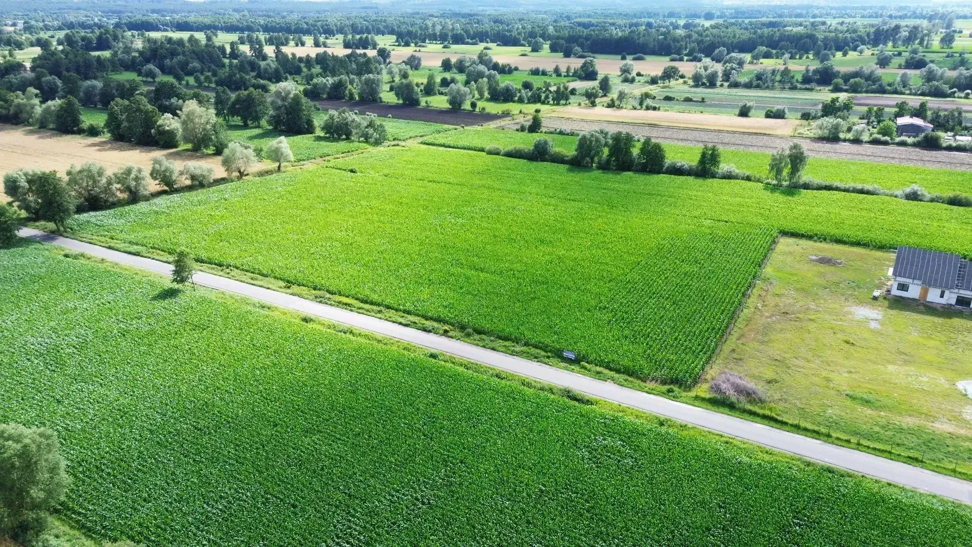 DJI_0464-min.JPG