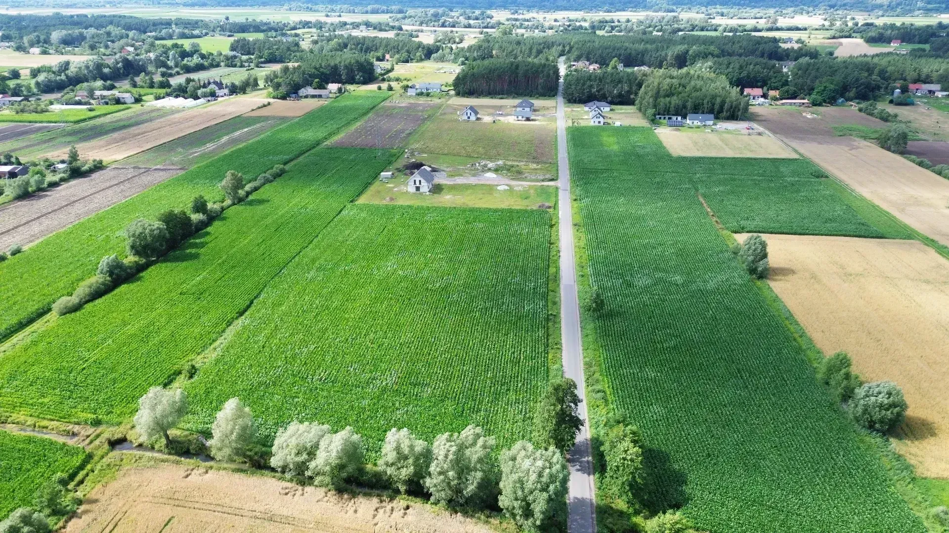 DJI_0464-min.JPG