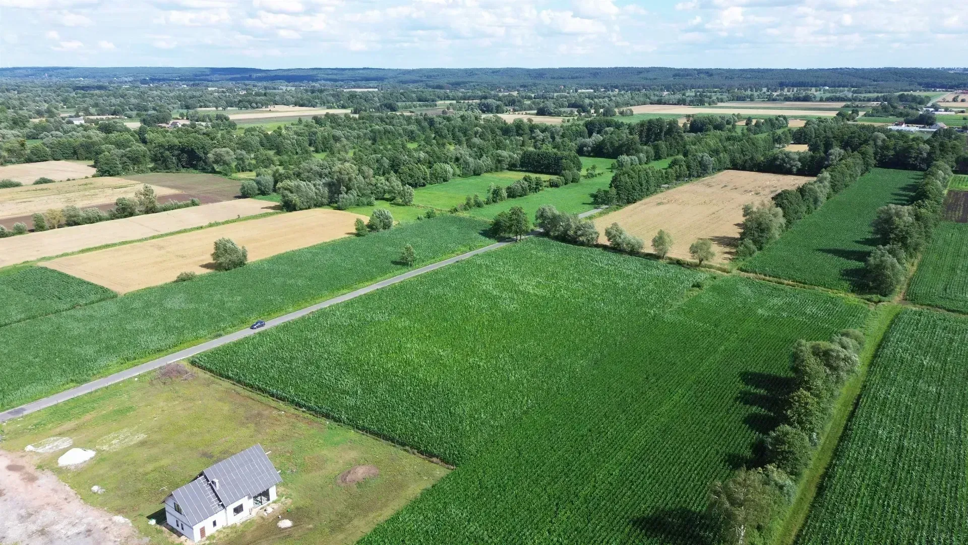 DJI_0464-min.JPG
