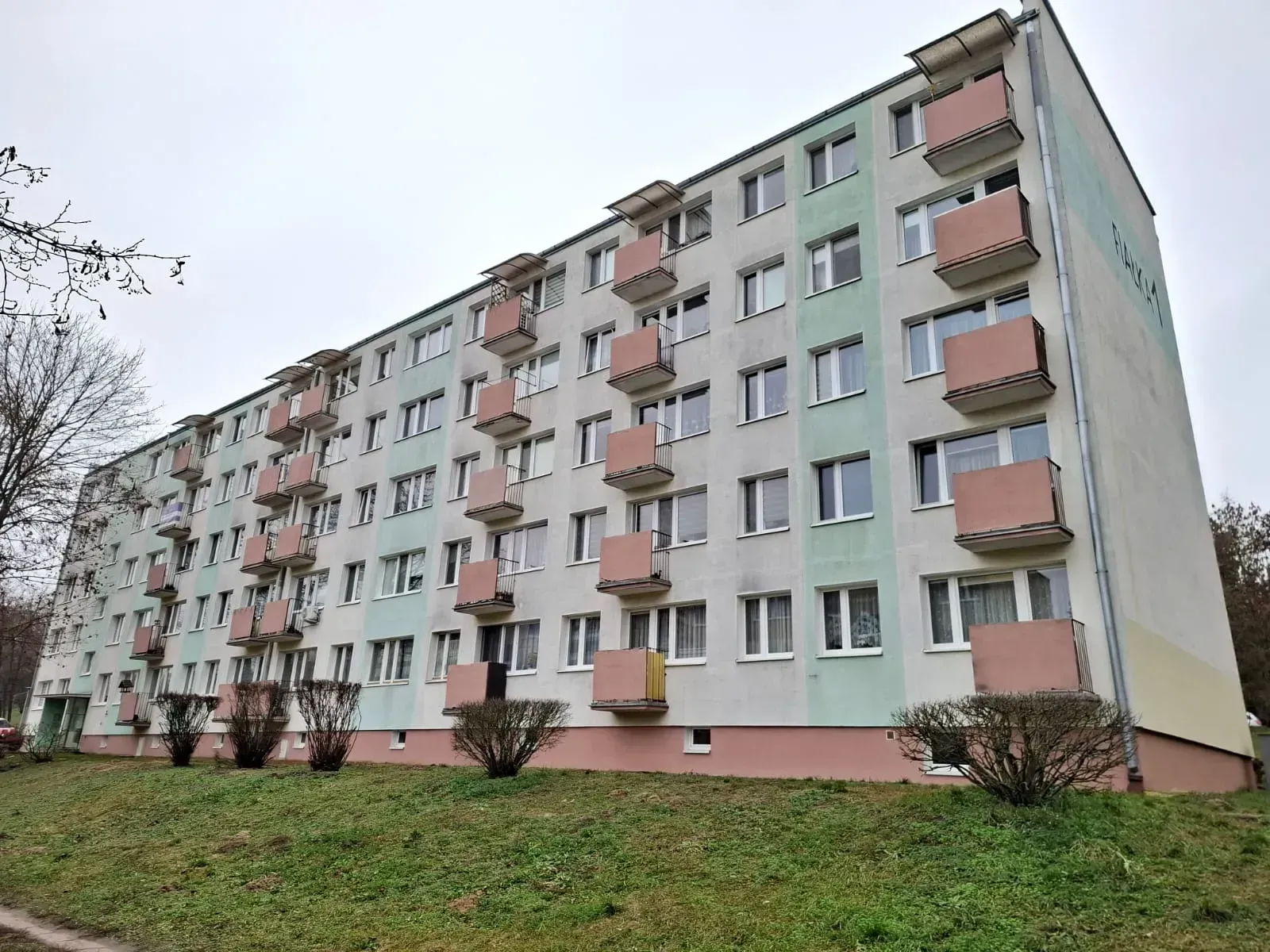 PHOTO-2025-12-13-13-41-26 2.jpg