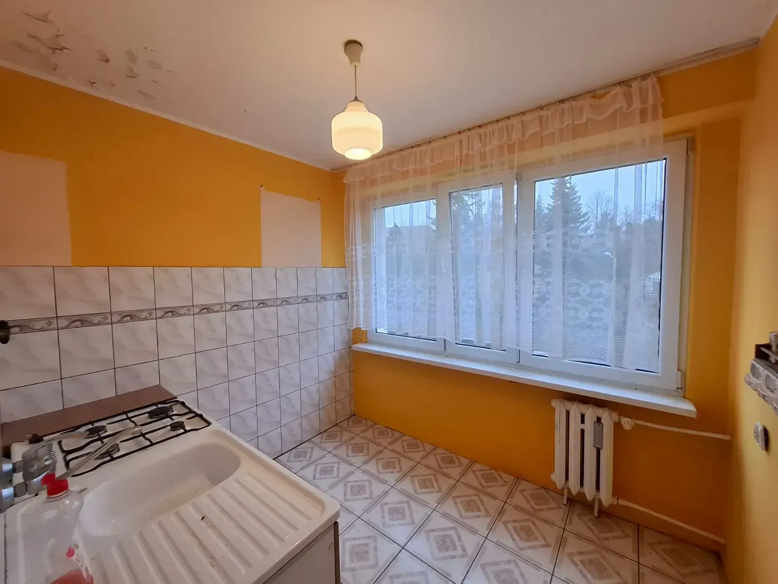 PHOTO-2025-12-13-13-41-26 2.jpg