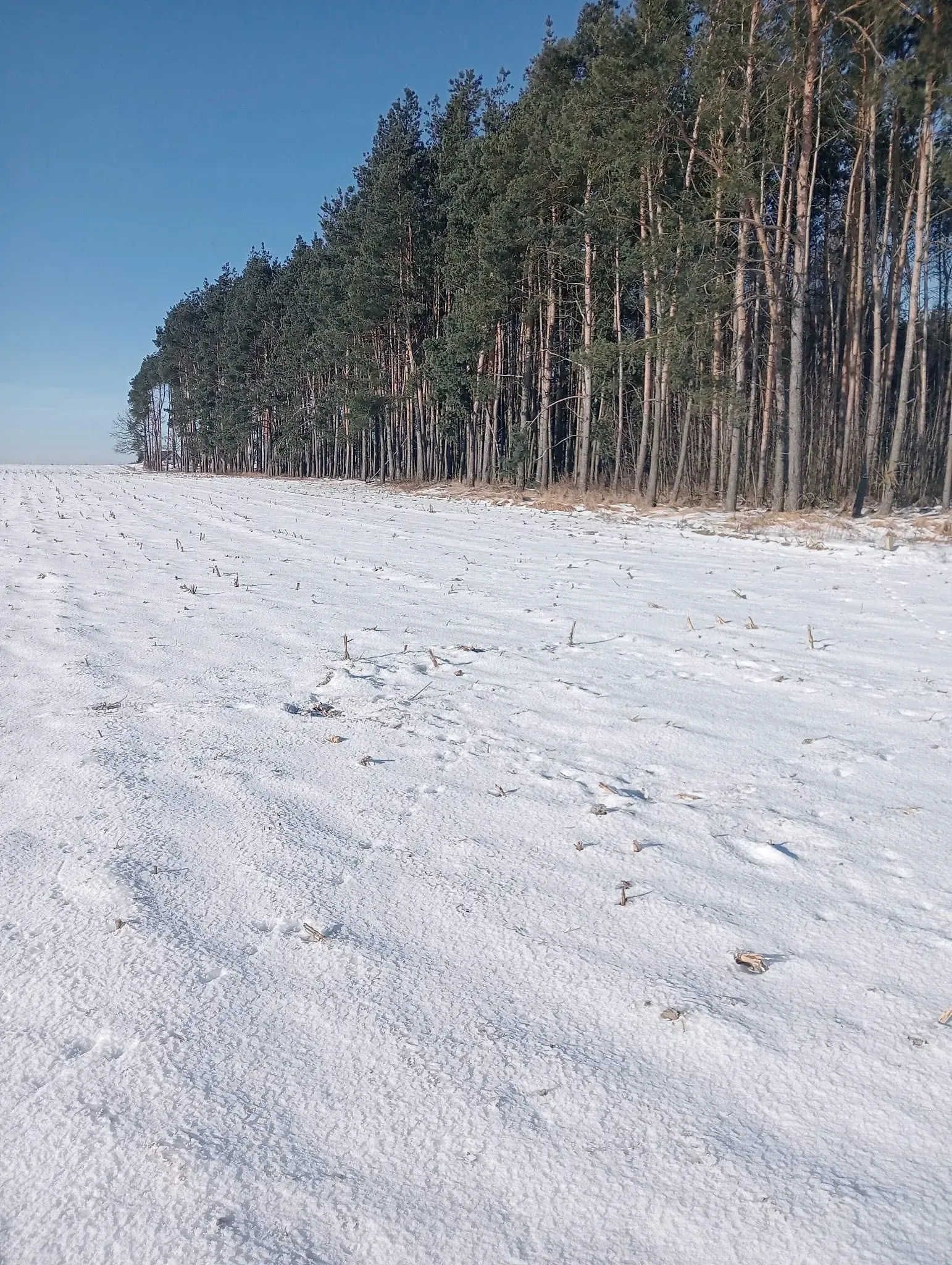 Zrzut ekranu 2026-02-28 o 19.56.11.png