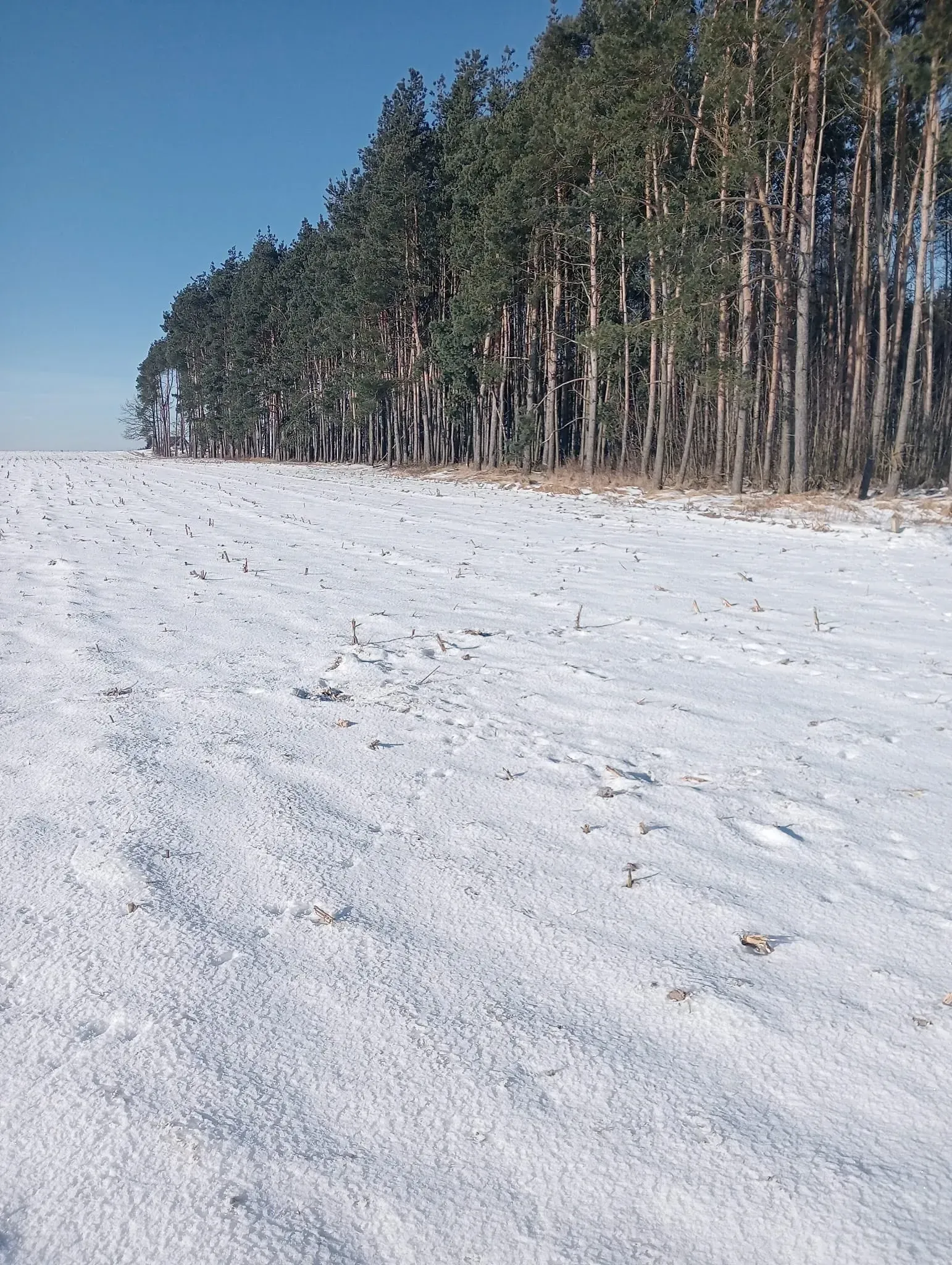 Zrzut ekranu 2026-02-28 o 19.56.11.png