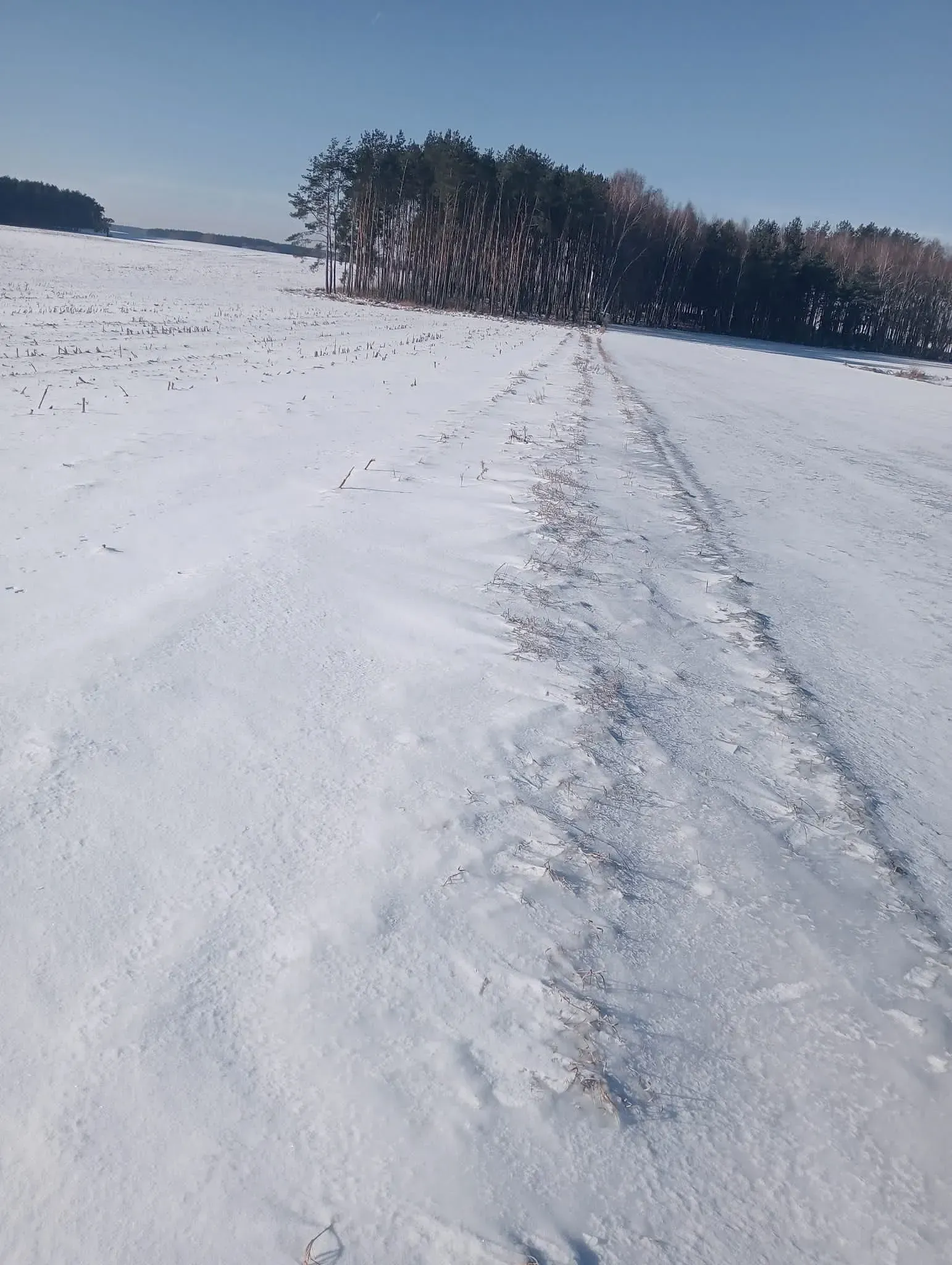 Zrzut ekranu 2026-02-28 o 19.56.11.png