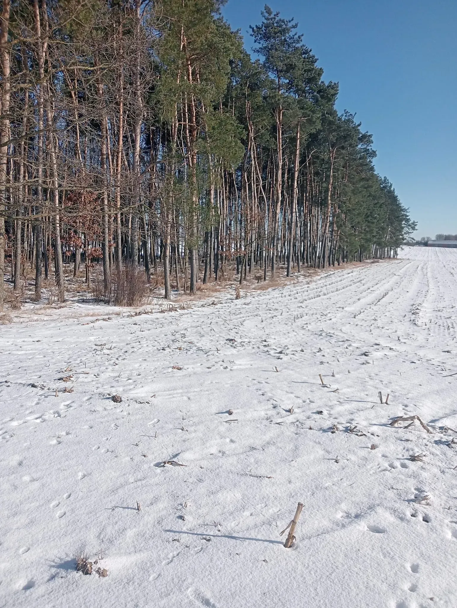 Zrzut ekranu 2026-02-28 o 19.56.11.png