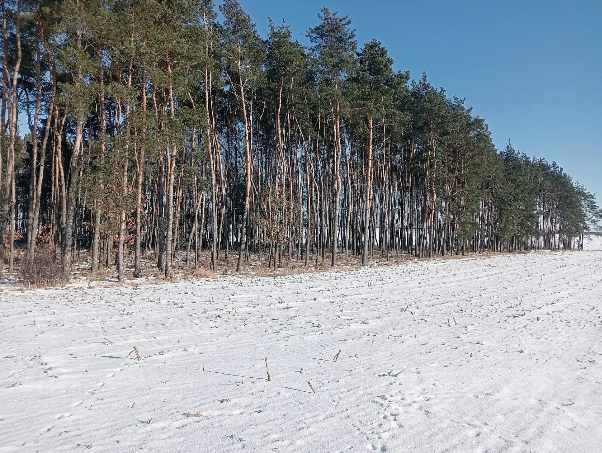 Zrzut ekranu 2026-02-28 o 19.56.11.png