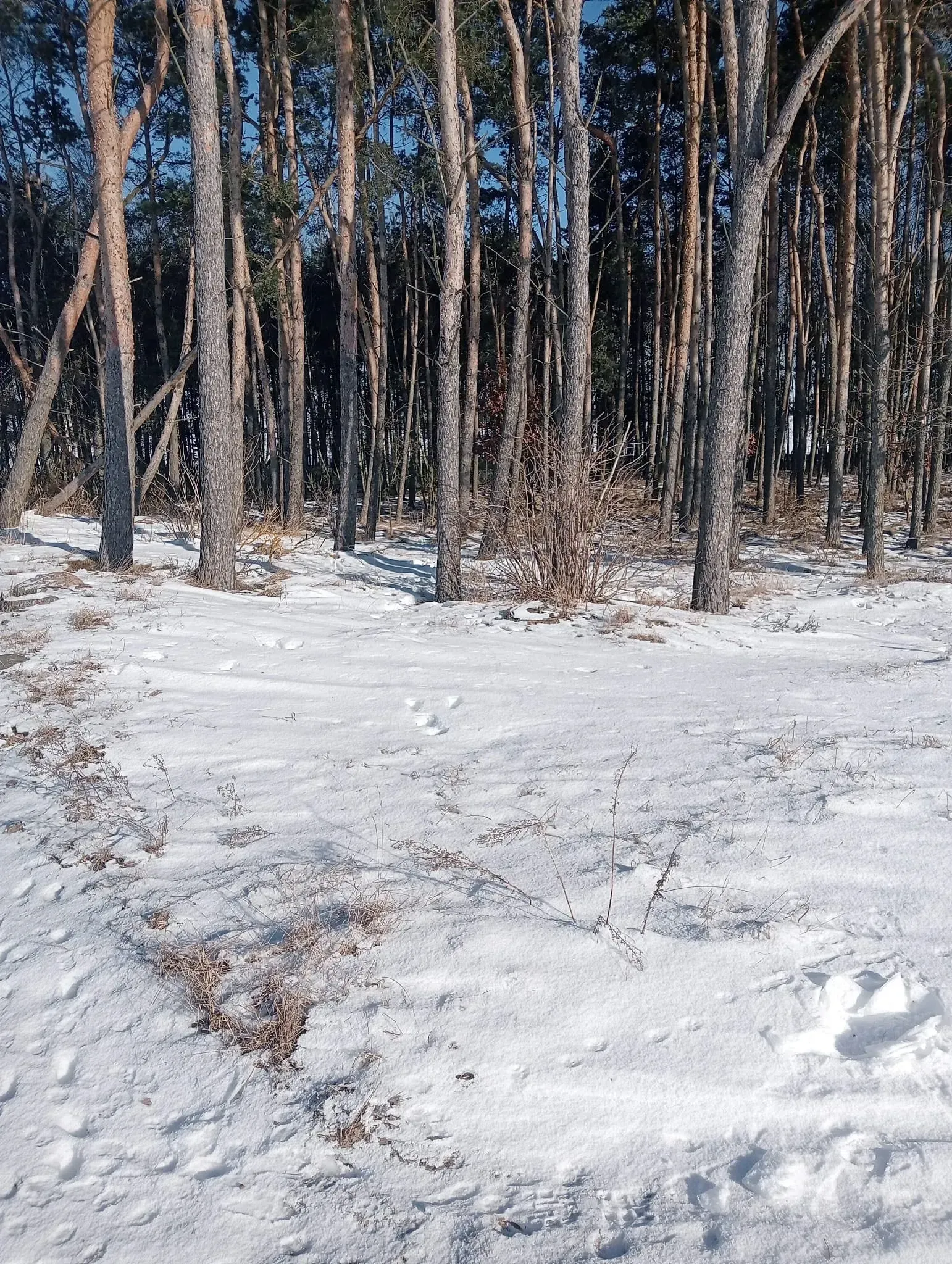 Zrzut ekranu 2026-02-28 o 19.56.11.png