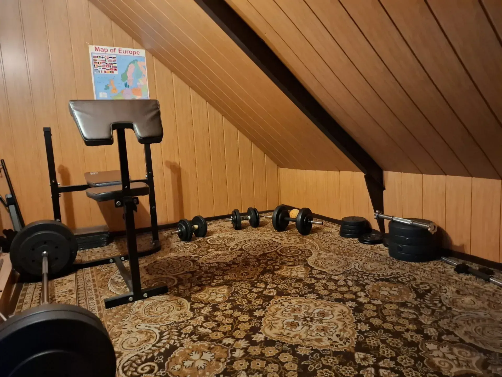 PHOTO-2026-03-02-20-40-52 2.jpg