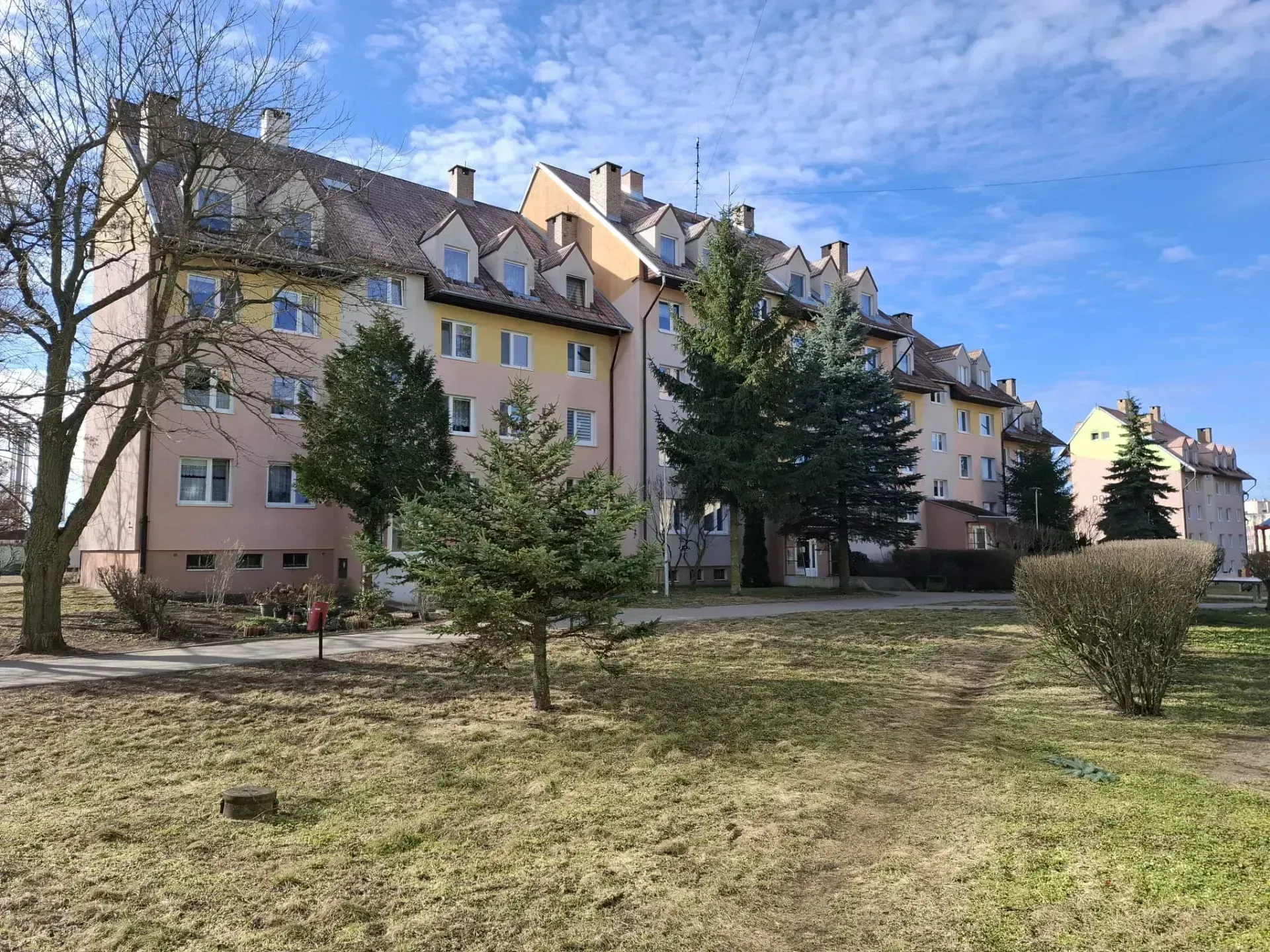 PHOTO-2026-03-02-18-44-34 2.jpg