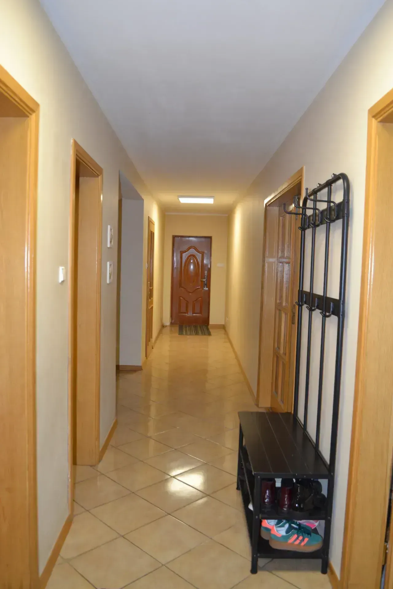 PHOTO-2026-03-09-18-32-25 2.jpg