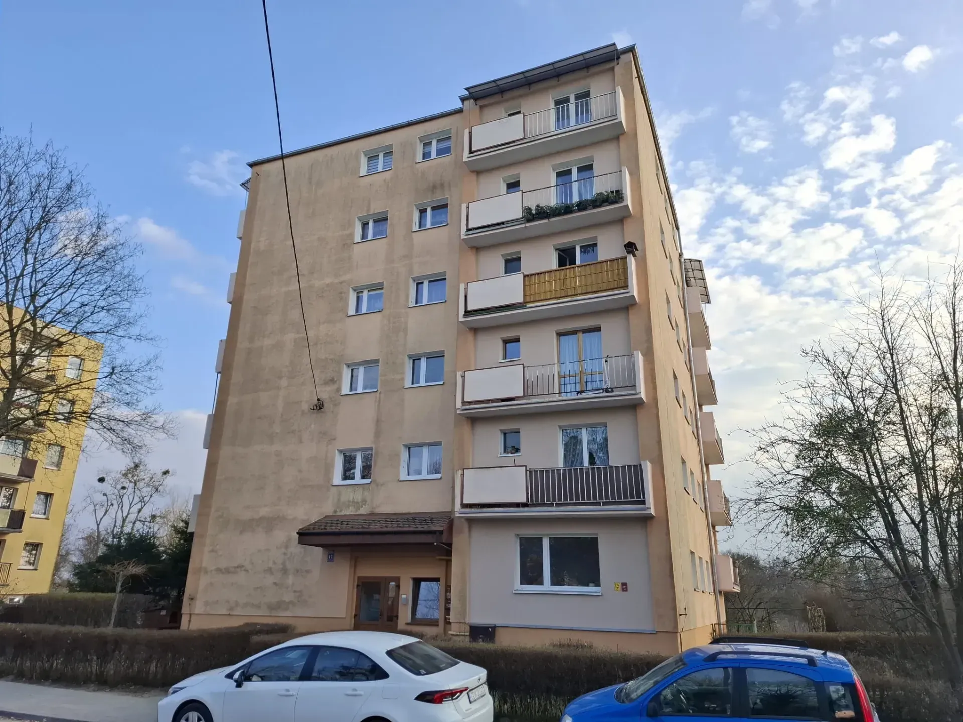 PHOTO-2026-03-23-19-46-49 3.jpg