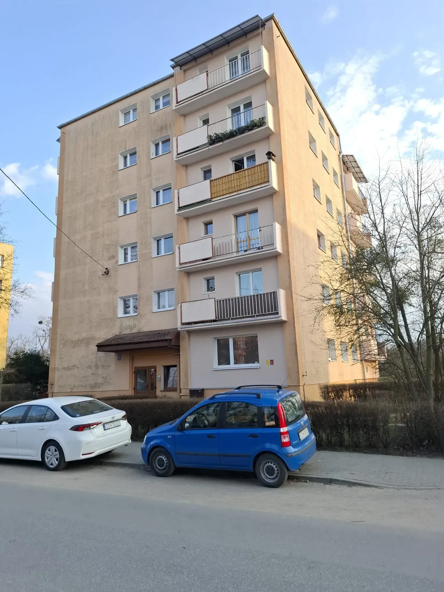 PHOTO-2026-03-23-19-46-49 3.jpg